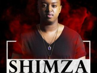 Dj Shimza - Champagne (Original Mix)