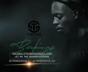 TribeSoul, Bido-Vega & Spizzy - Soze Ngilile (Vocal Mix)