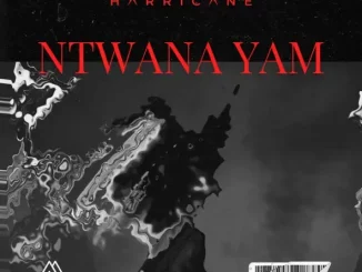 Harricane - Ntwana Yam