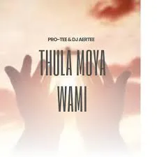 Pro-Tee ft Dj Aertee – Thula Moya Wami